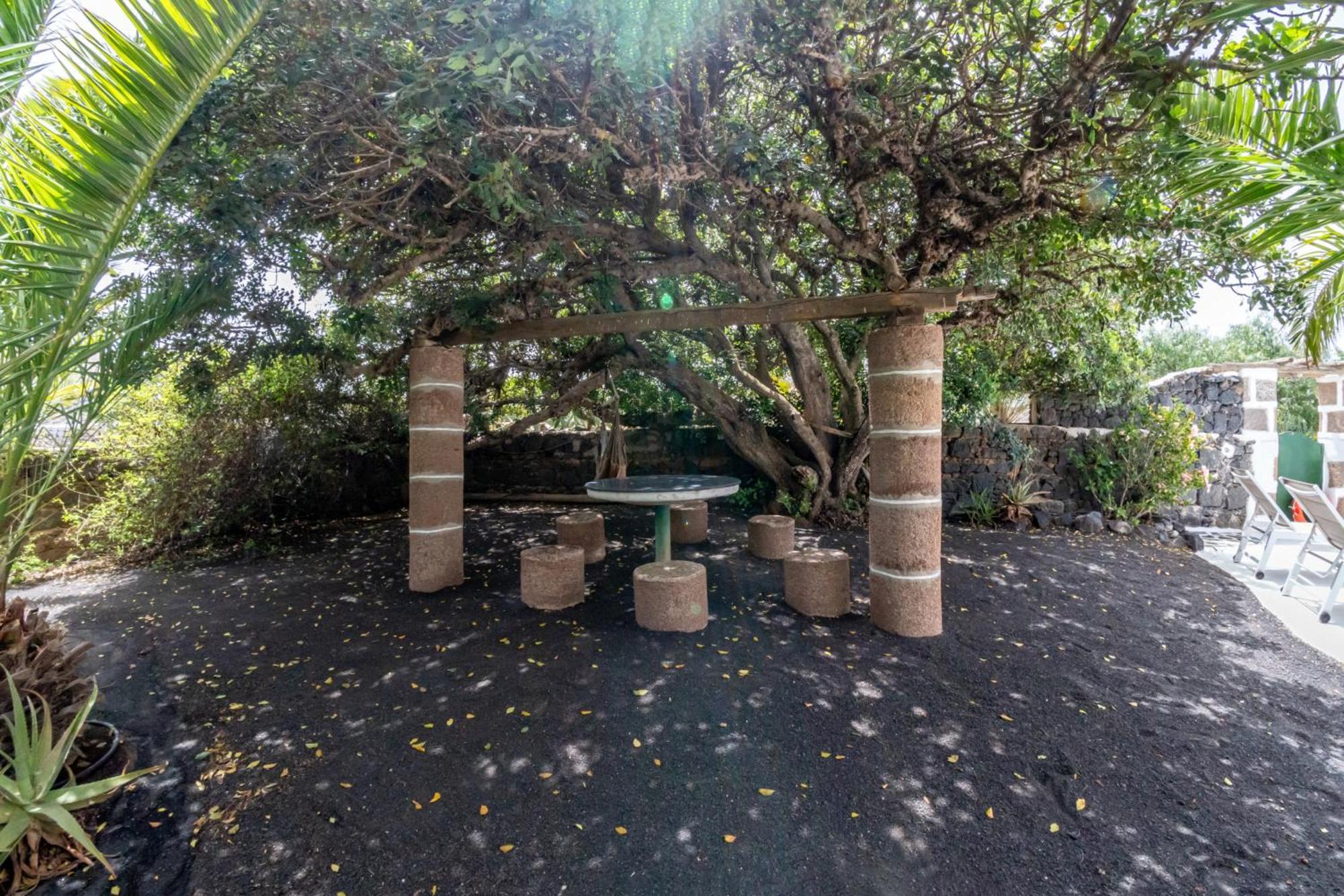 Casa Timanfaya In Tegoyo Villa Conil Dış mekan fotoğraf